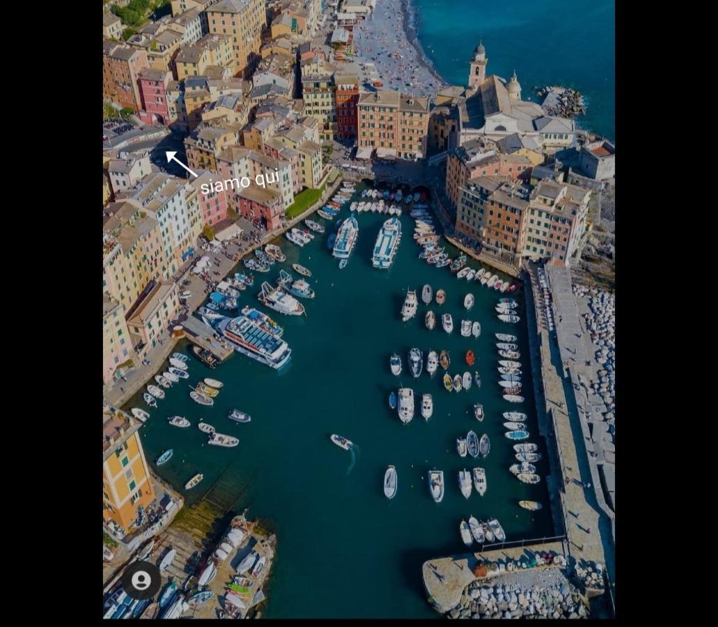 Hotel La Gioia Camogli Exteriér fotografie